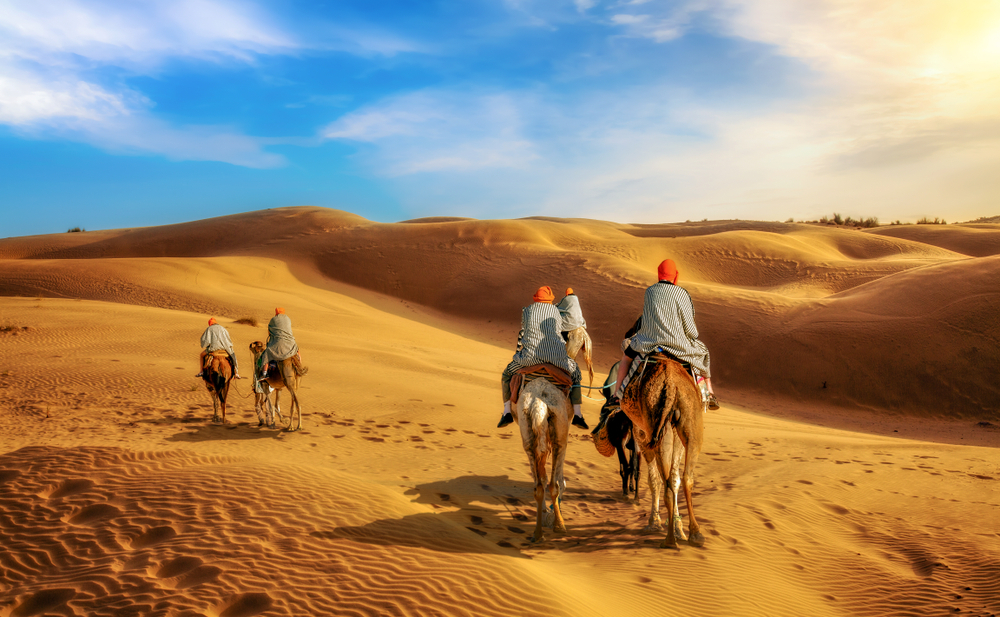 Best of Rajasthan
