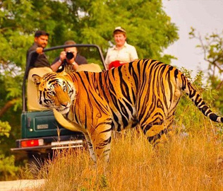 Rajasthan Heritage Tour